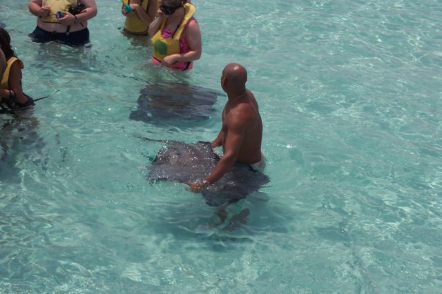 photo22.jpg
